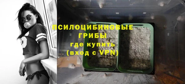 эйфоретик Армянск