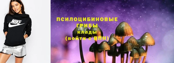 эйфоретик Арсеньев