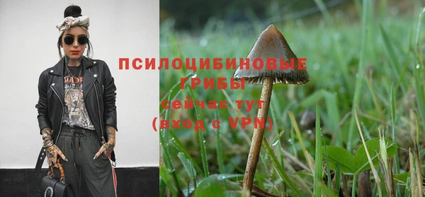 эйфоретик Арсеньев