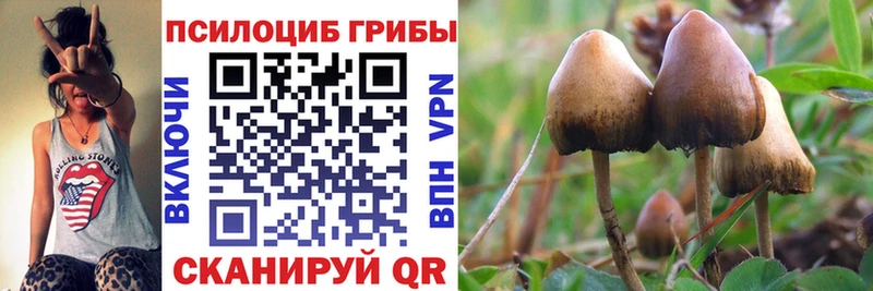 даркнет какой сайт  Похвистнево  MEGA tor  Галлюциногенные грибы Cubensis  купить наркотики сайты 